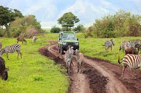 Luxury Tour Tarangire & Ngorongoro