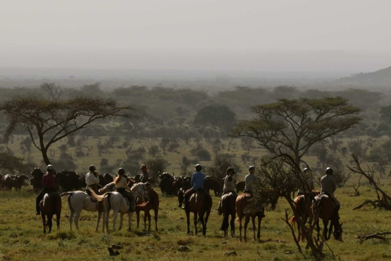 Tanzania Horse Riding Tour