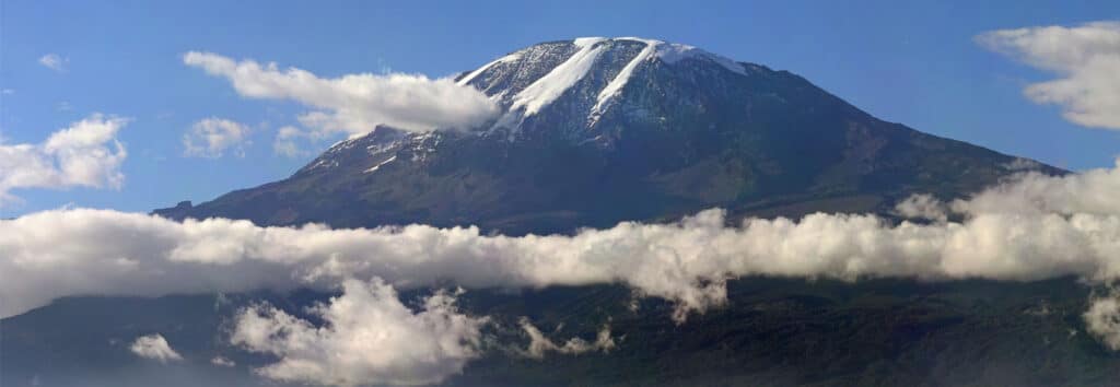 kilimanjaro