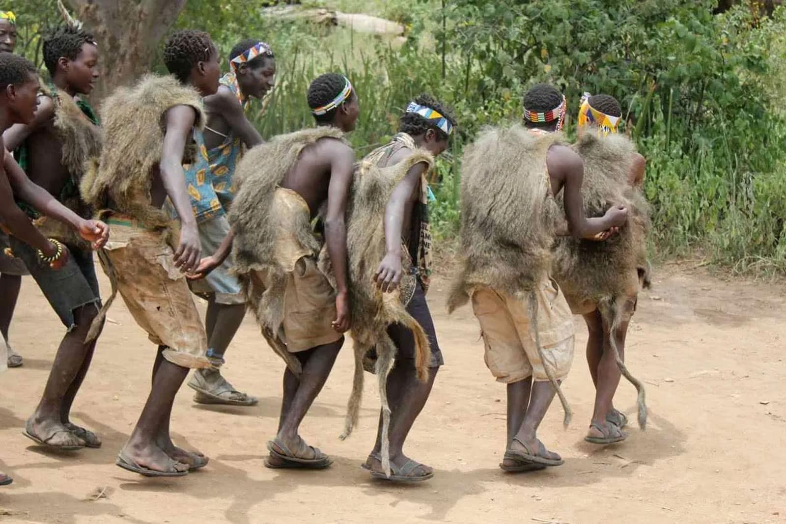 2 Days Hadzabe tribe/ Bushmen Activities