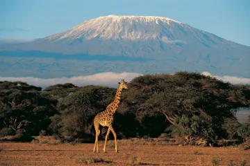 Kilimanjaro Trekking Umbwe Route