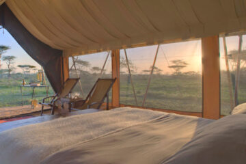 Serengeti Flying Safari
