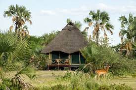 Luxury Tanzania Safari