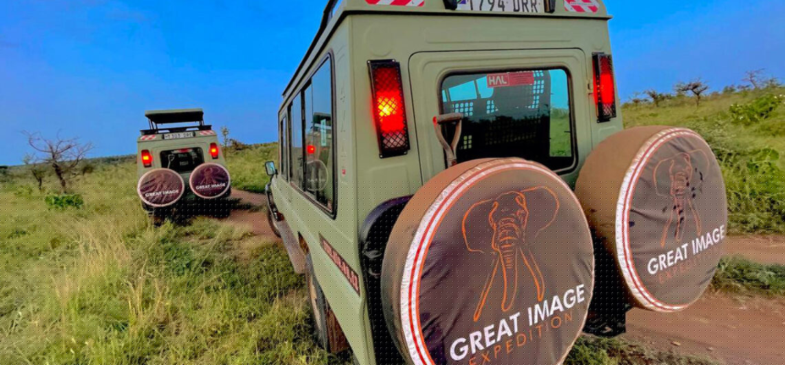 Tanzania Luxury Safaris