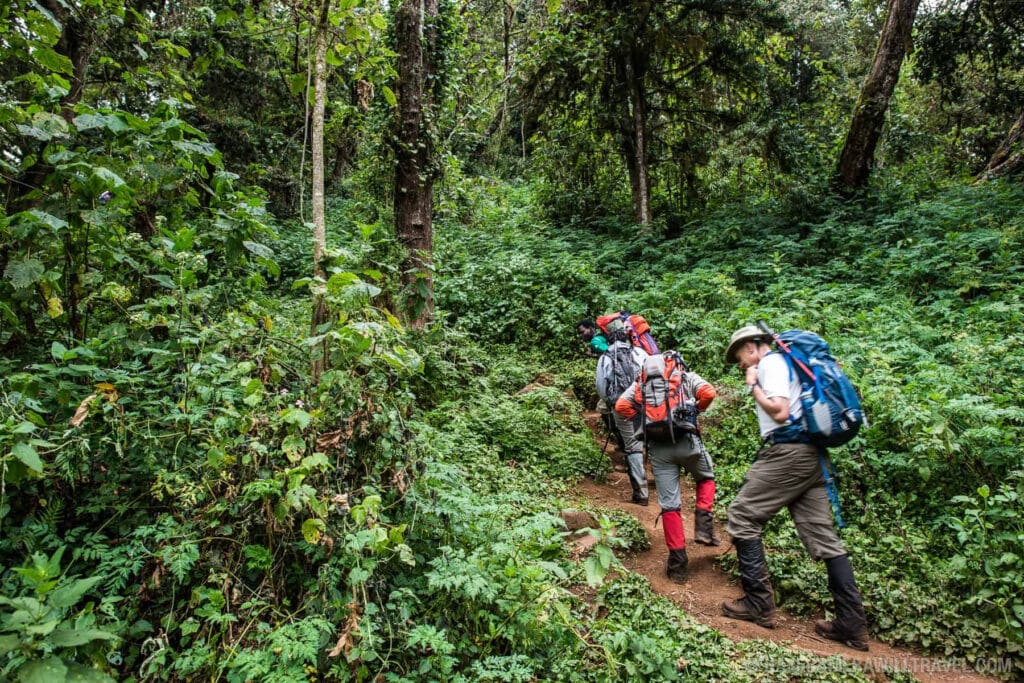 Mount Kilimanjaro Trekking