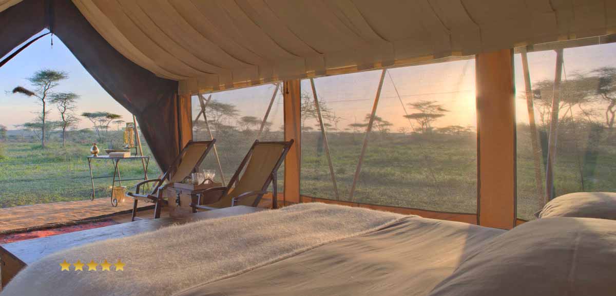 Tanzania Luxury Safari Tours