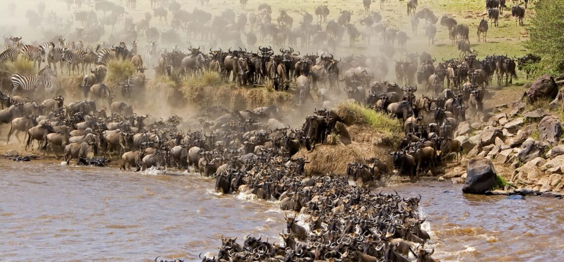 Great Annual Wildebeest Migration