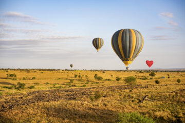 Serengeti Hot Air Balloon Safari