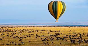 Serengeti Hot Air Balloon Safari
