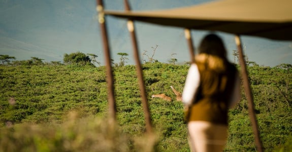 Entamanu Ngorongoro