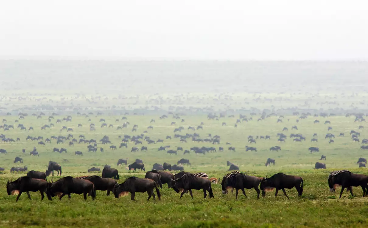 Serengeti National Park