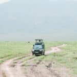 Ngorongoro Crater