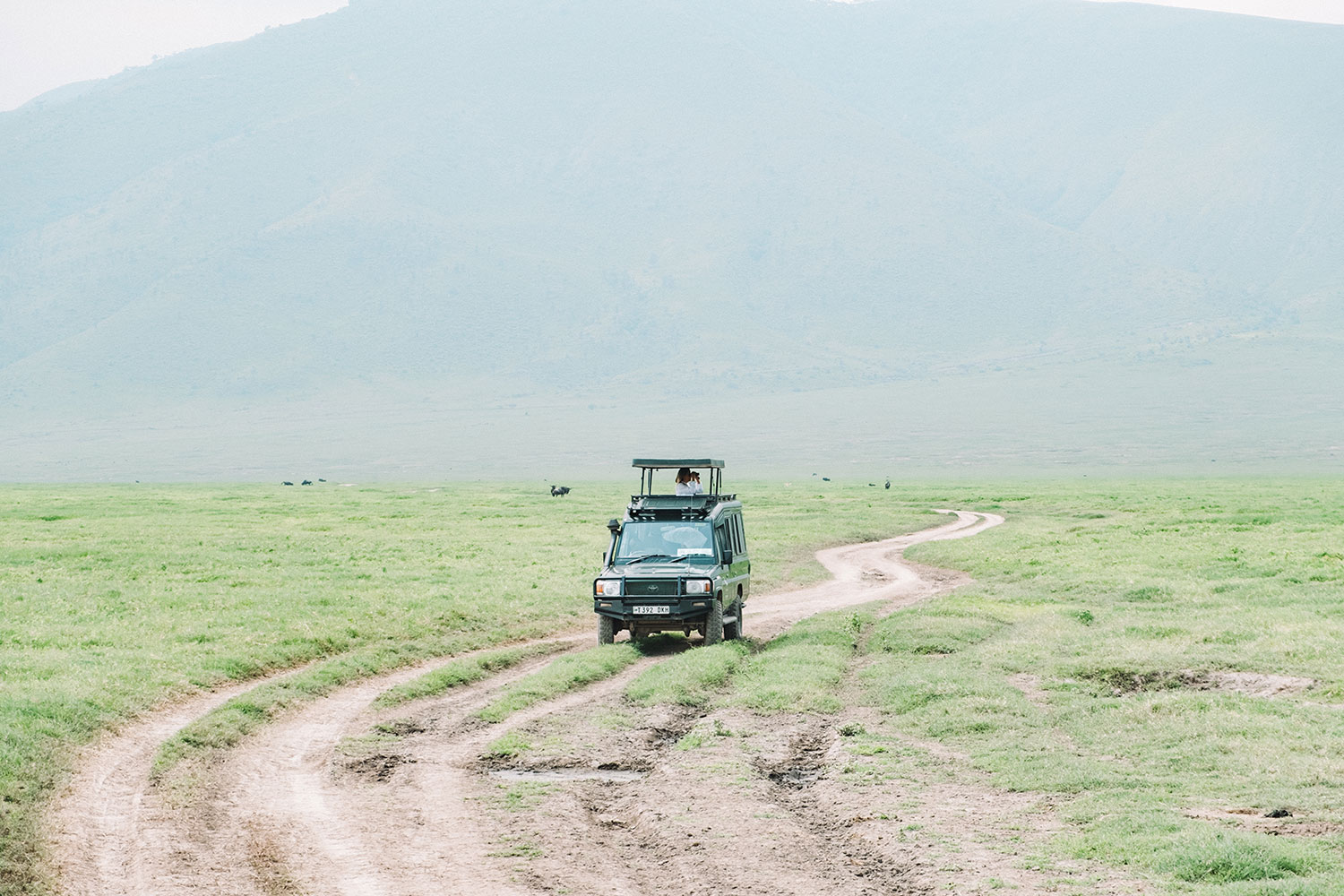 Ngorongoro Crater