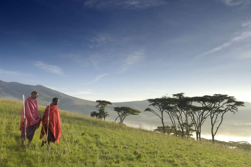 Ngorongoro Crater Day Tour