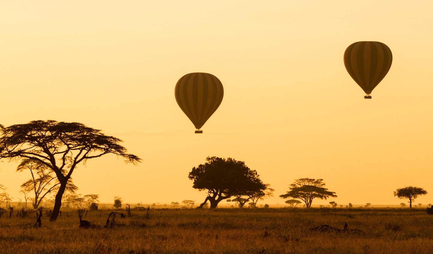 Serengeti hot air balloon | Tanzania | Balloon Safaris