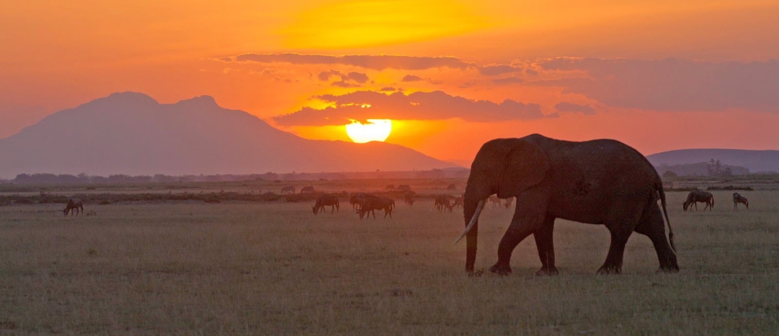 Tarangire National park