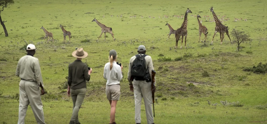 Top Best Things to do in Serengeti