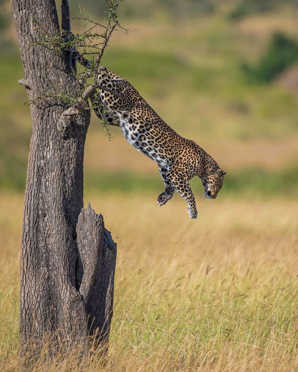 Serengeti National Park