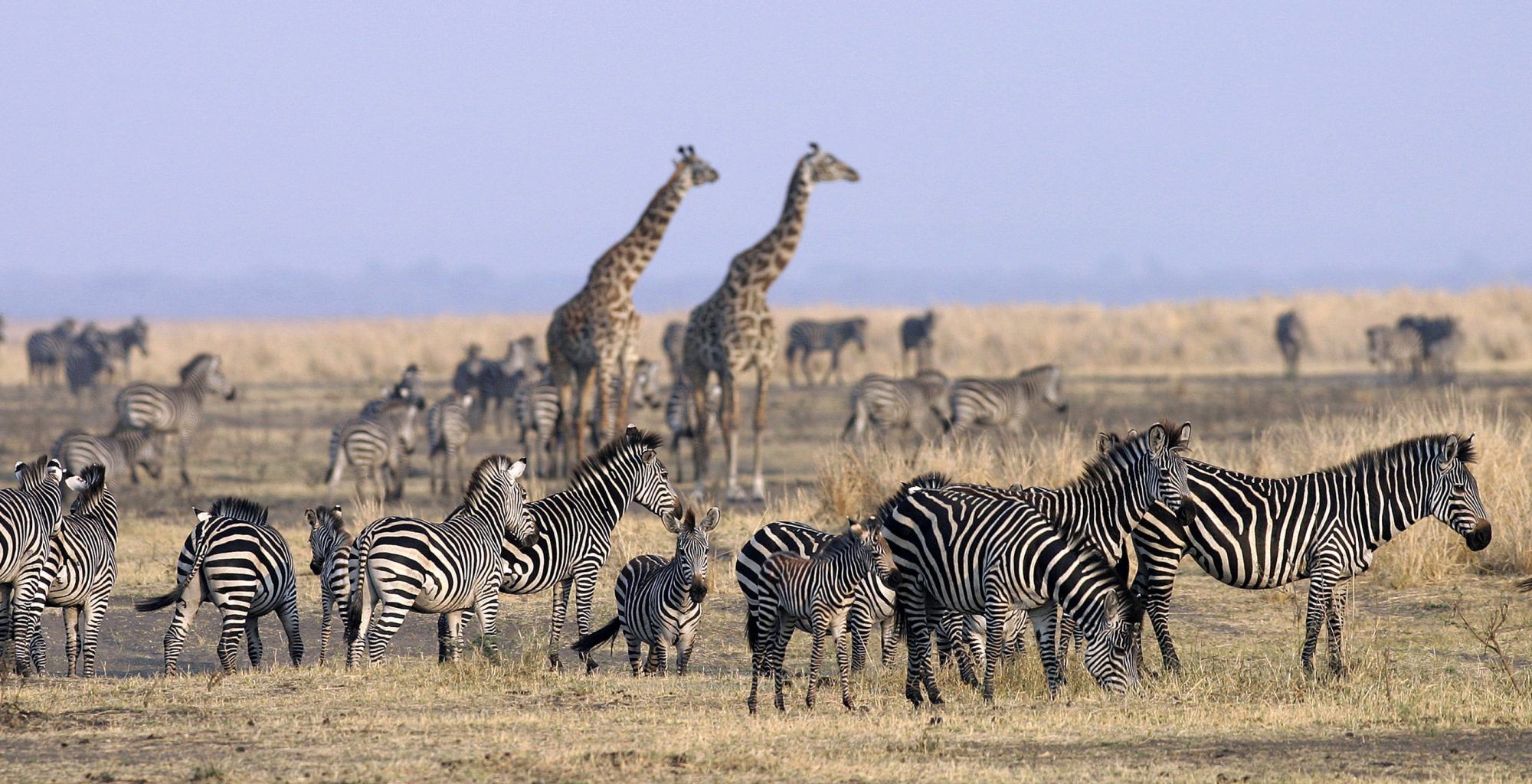 Katavi National Park Katavi National Park