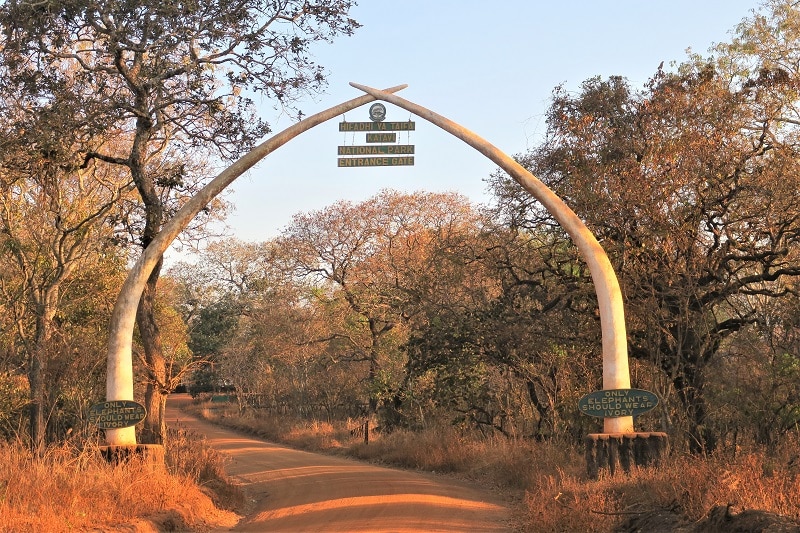 Katavi National Park Katavi National Park
