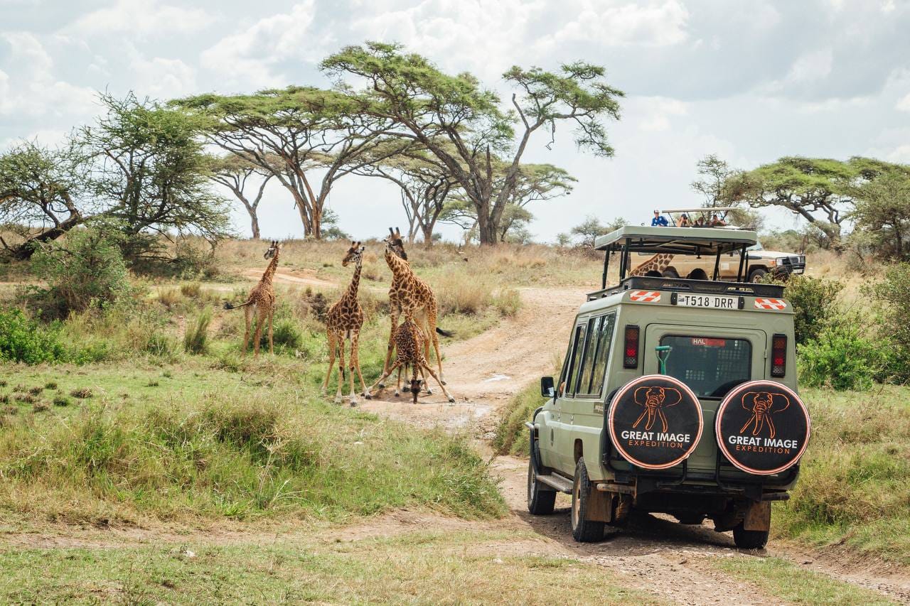 Local Tour Operator for Safari in Tanzania