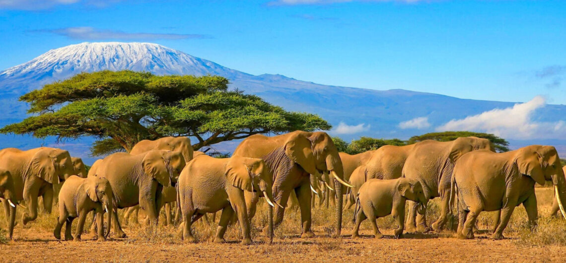 Top Best Tourist Attractions in Tanzania