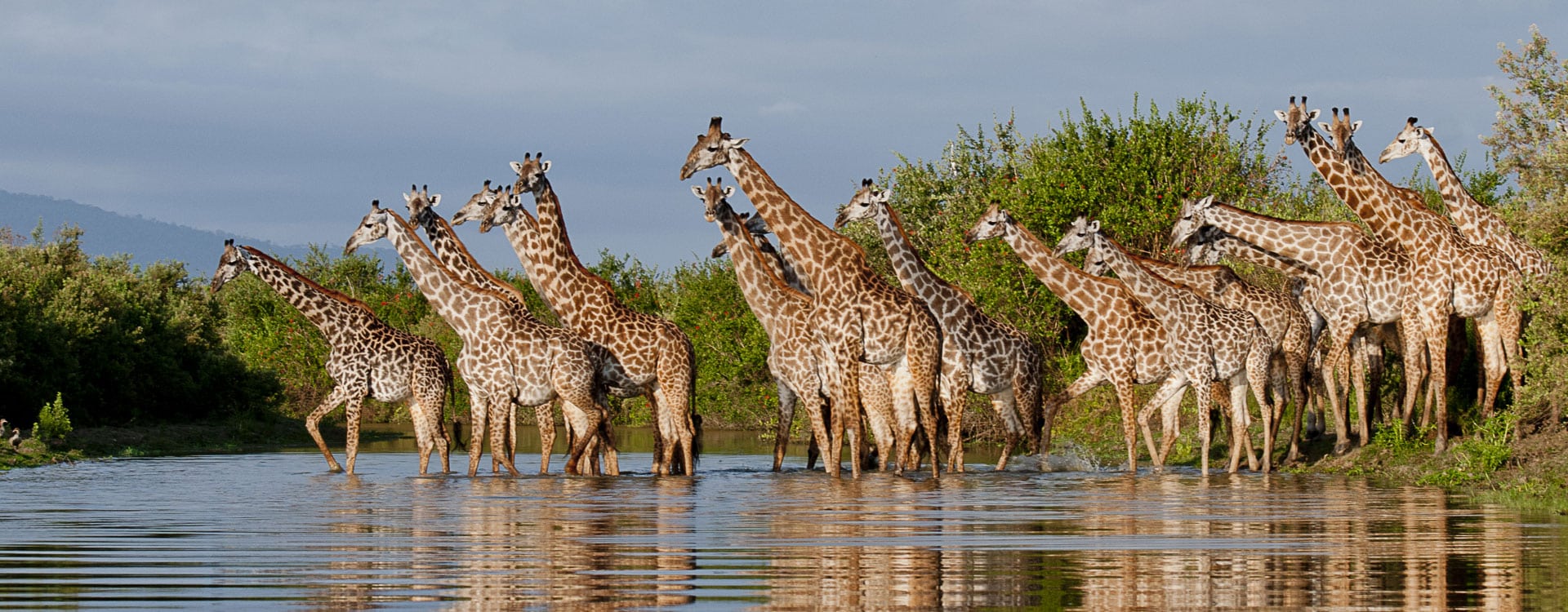 4 Days Nyerere Luxury Safari