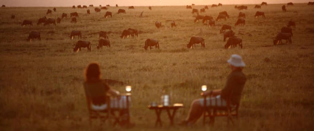Tanzania Luxury+ Wildebeest Migration Safari and Zanzibar