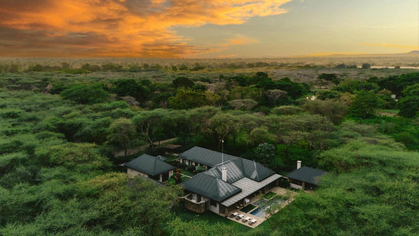 Hamerkop House