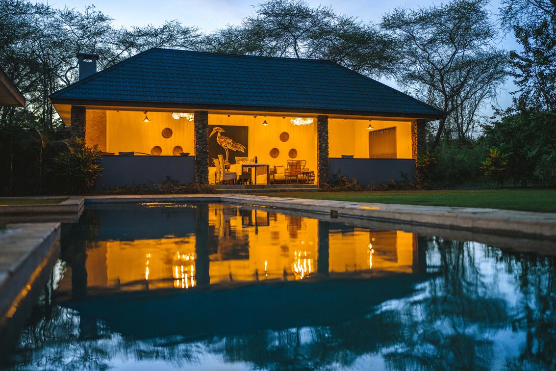 Hamerkop House