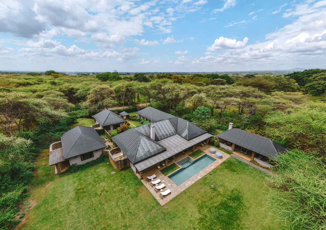 Hamerkop House