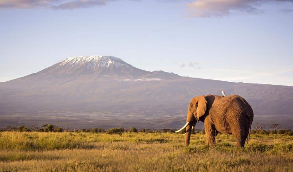 What makes traveling to Tanzania special?