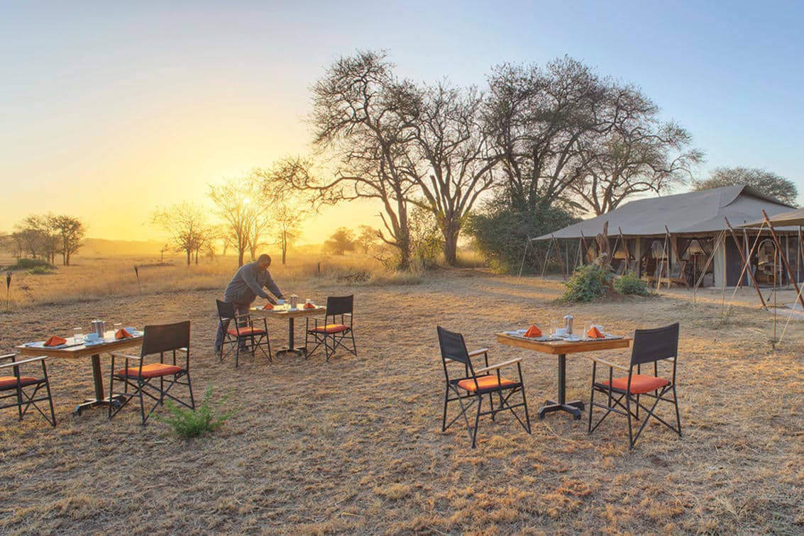 Ubuntu Migration Camp Serengeti