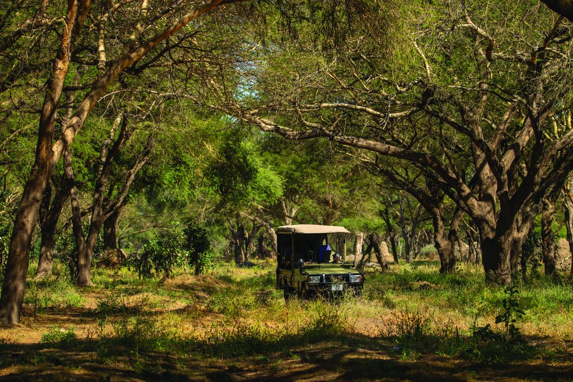 Usangu Expedition Camp