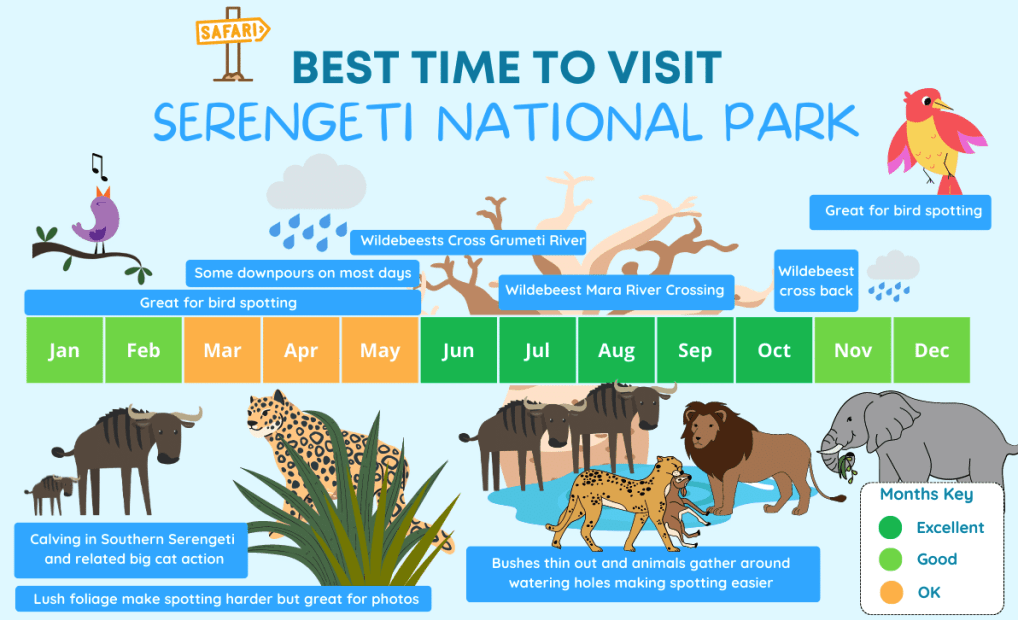 best time to visit serengeti 2
