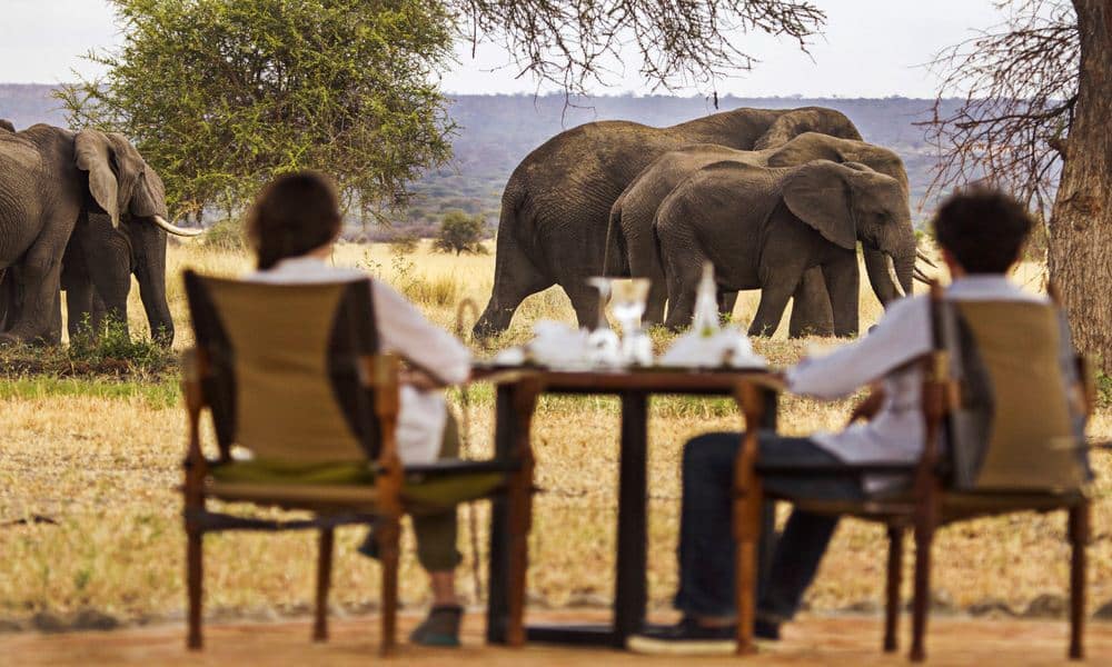 9 Days Luxury Tanzania Honeymoon Safari