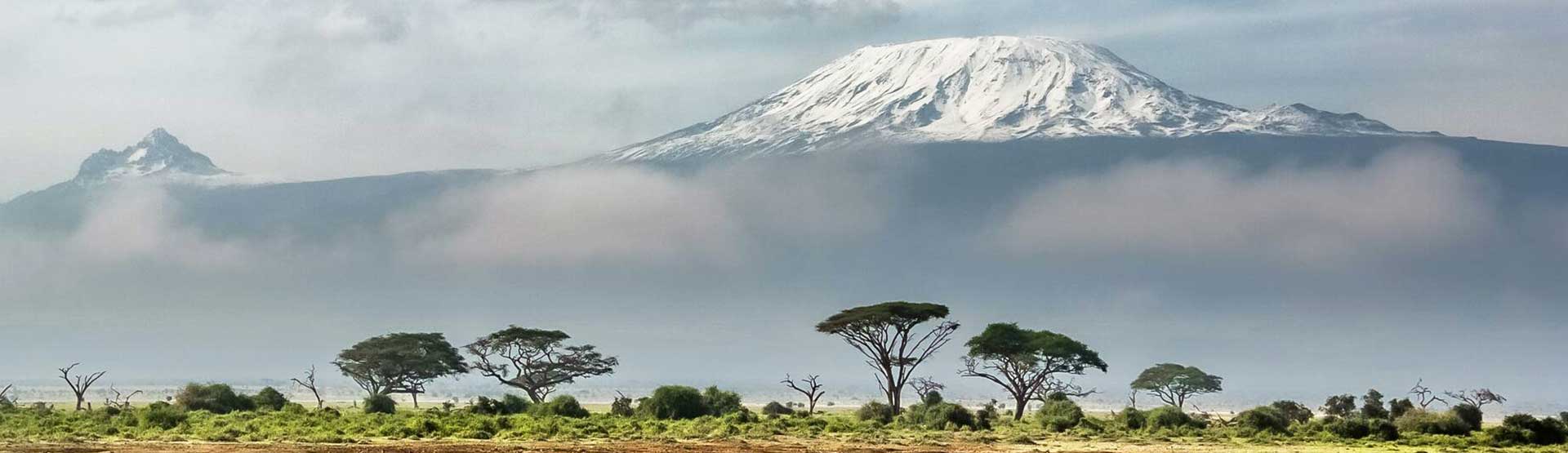 Mount Kilimanjaro Day Hike