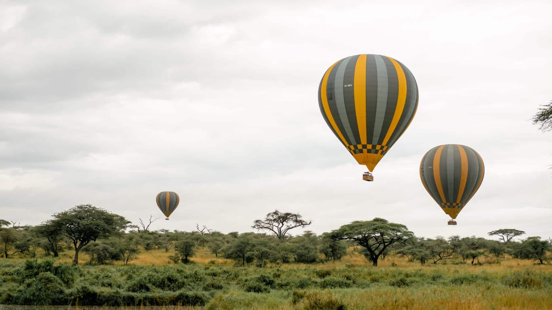 Tanzania Balloon Safari