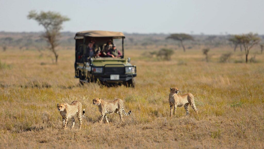 Experience Tanzania