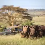 Game Drive