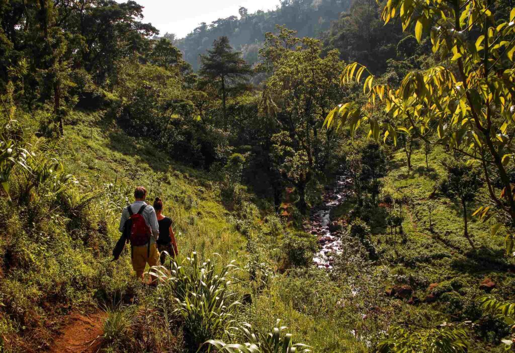 MARANGU VILLAGE TOUR