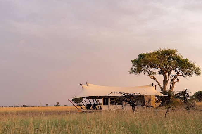 ENVI Sisini Serengeti