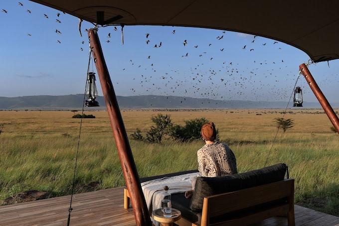 ENVI Sisini Serengeti