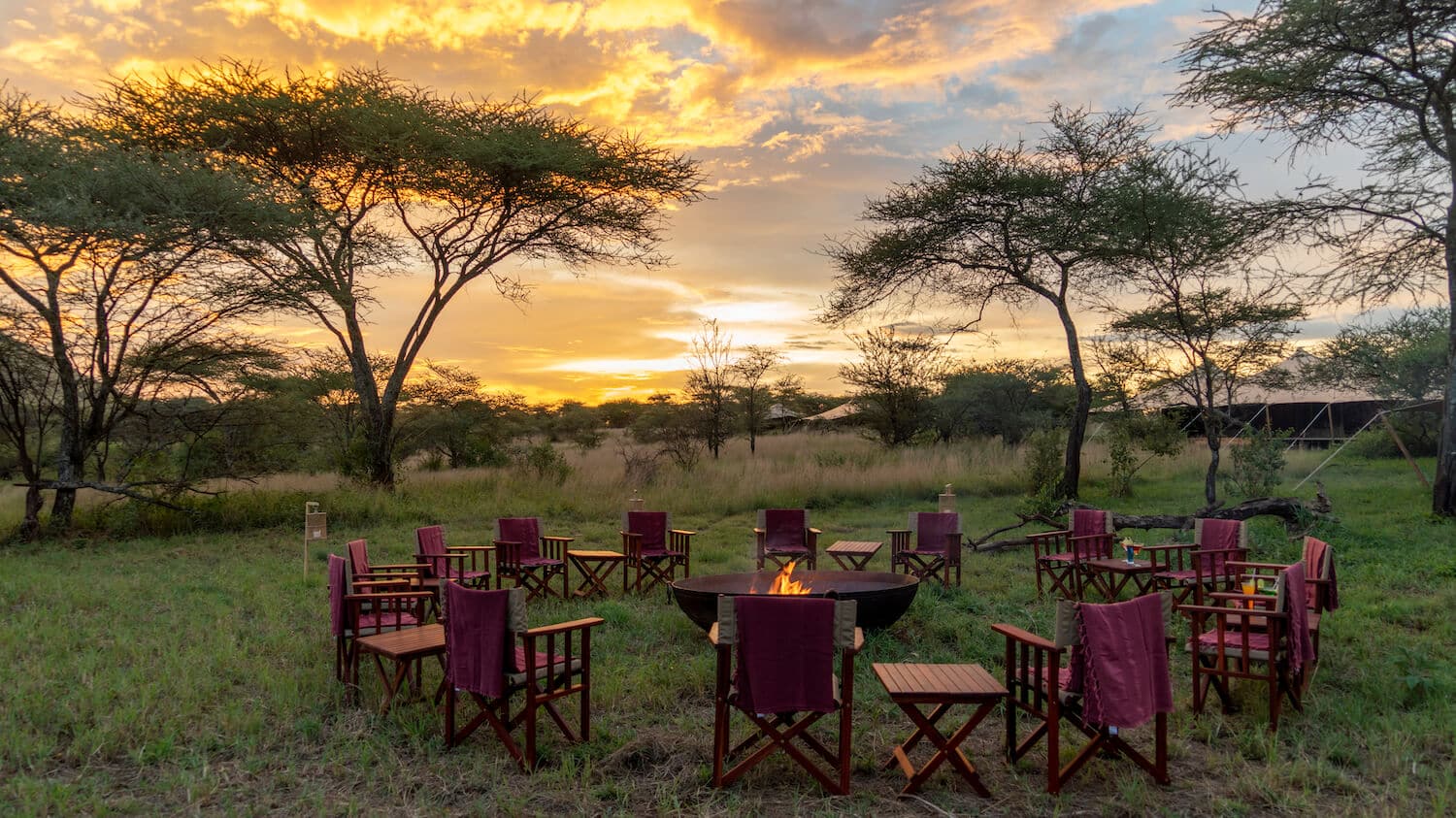 Serengeti Acacia Bliss Luxury Tented Camp