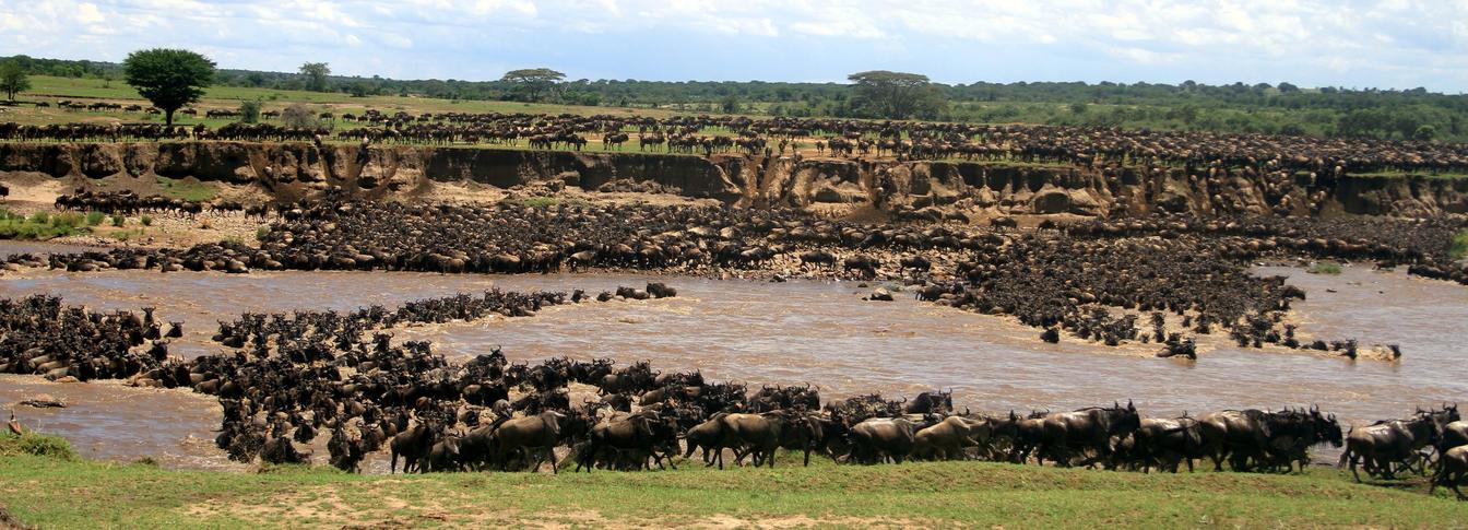 Serengeti National Park
