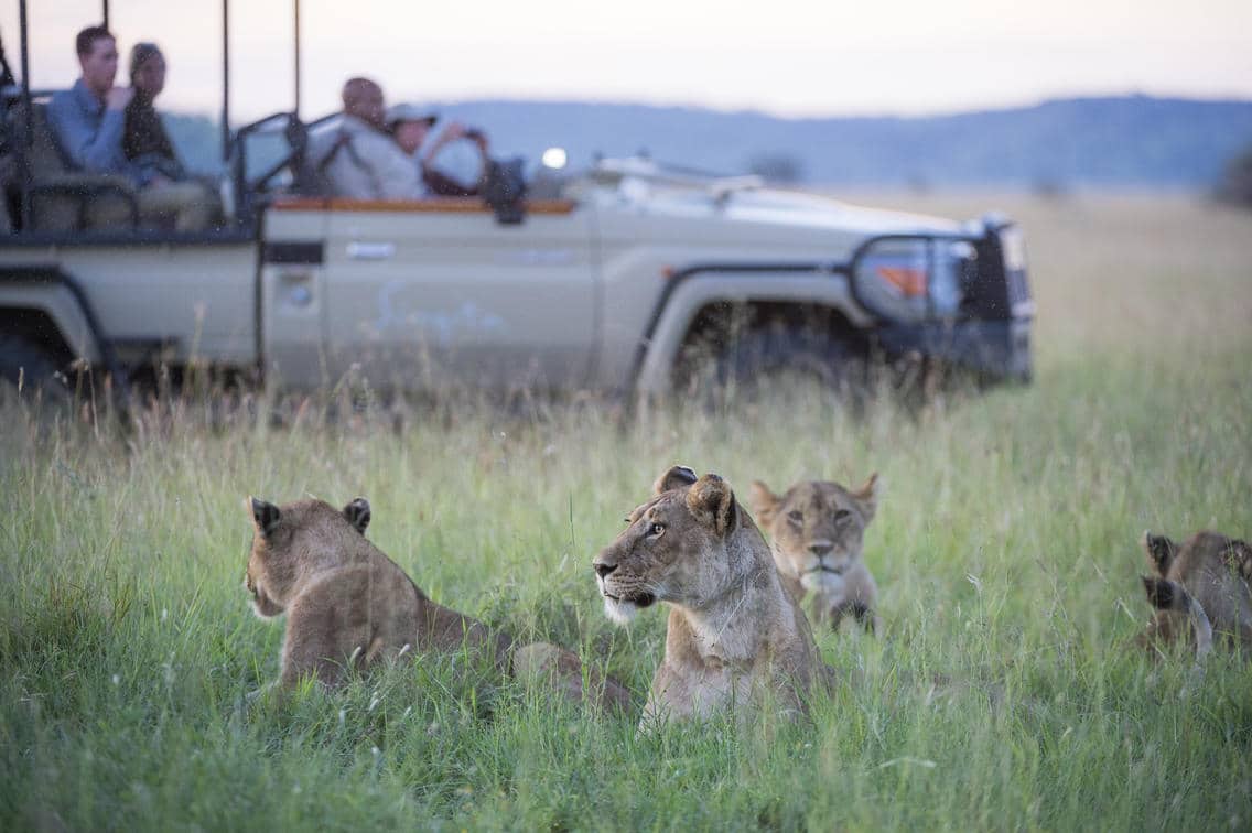 Singita Sasakwa Lodge