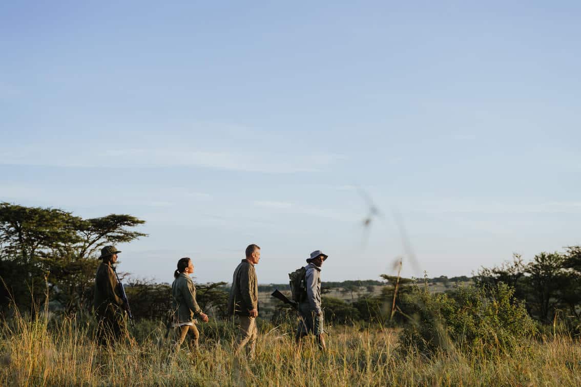 Wilderness Usawa Serengeti