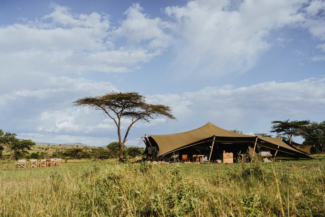 Wilderness Usawa Serengeti