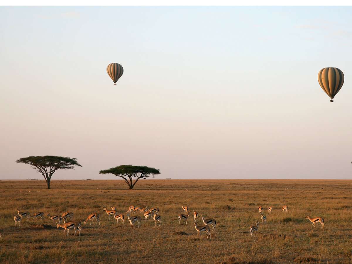 african hot air balloon safari