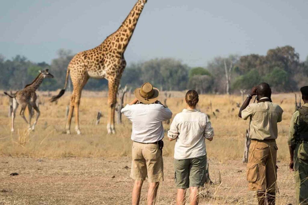 Tanzania Walking Safaris